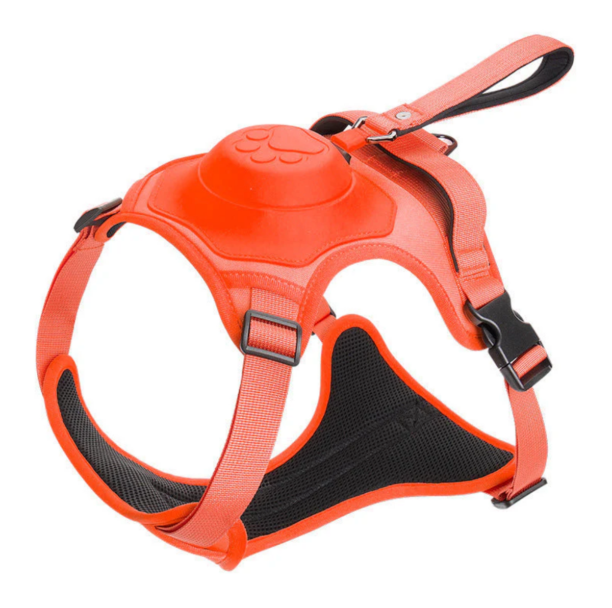 Laisse anti-traction confortable 2 en 1 avec harnais
