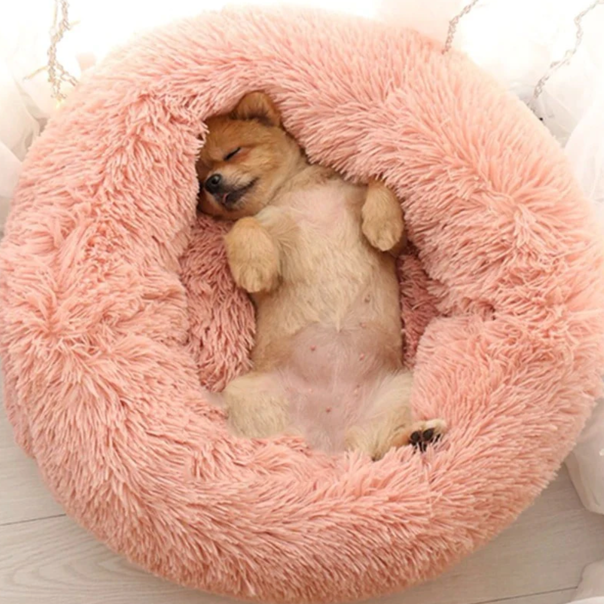 Coussin apaisant pour chien et chat Pleasant
