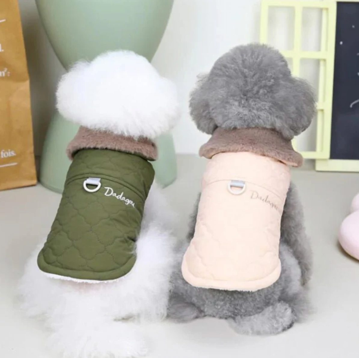 Veste imperméable pour chien avec col en fourrure
